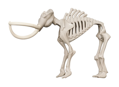 Playmobil mammut skelett - playmobil,