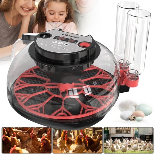 Vollautomatisch inkubator - vollautomatisch,