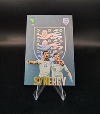 Panini Top Class 2023 Synergy
