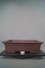 Bonsai Schale rechteckig