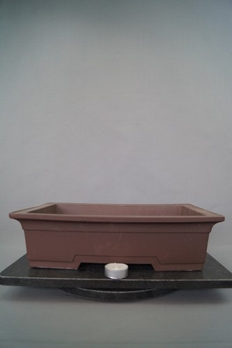 Bonsai schale rechteckig - bonsai,