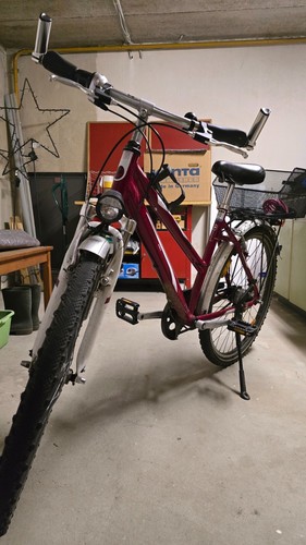 Pegasus jugend fahrrad zoll - fahrrad,