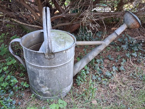 Alte zink gießkanne mit - alte,