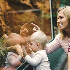 Tage dresden für familien - 3,