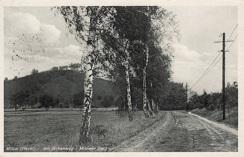684145 birkenweg - birkenweg,