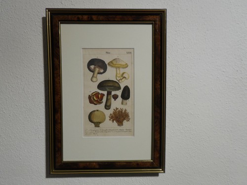 Orig kupferstich - orig.(1833,rebau),