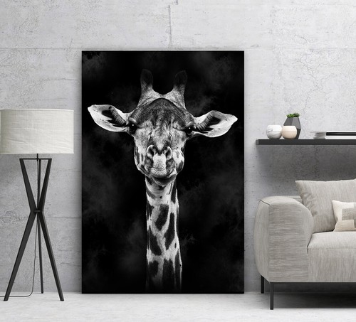 Acrylglas bild wandbild - bild,