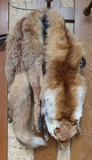Echter fuchs 120cm pelz fell - 120cm,