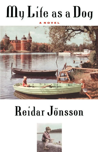 Life dog reidar - dog,
