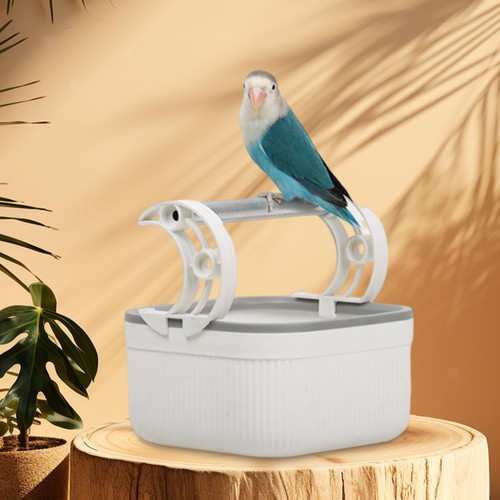 Bird tisch top - bird, toys