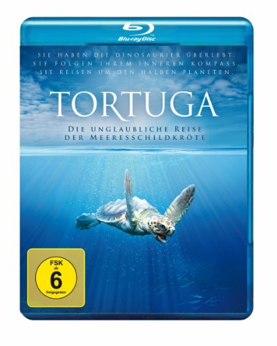 Blu ray tortuga - tortuga,