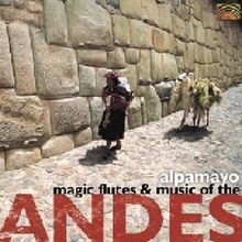Magic flutes and music the - flutes,