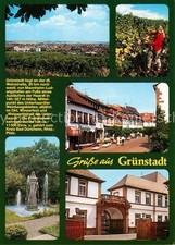 Gruenstadt Panorama Weinlese Brunnen Fussgaengerzone Portal