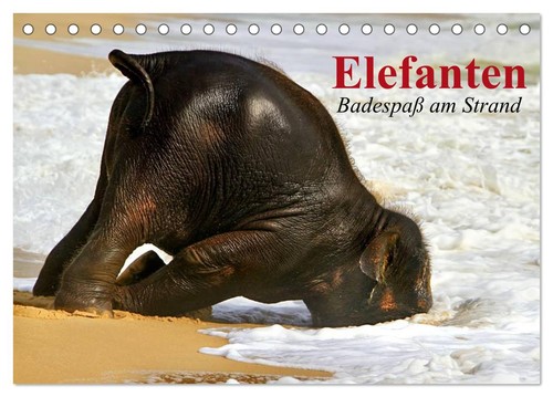 Elefanten badespaß strand - am,