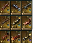 Ant Legion Account S4x