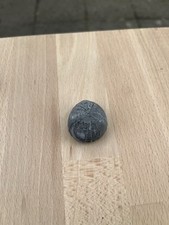 Rarität! 2x Seeigel mit