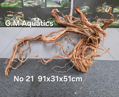 Azalee form aquarium - s-form, no