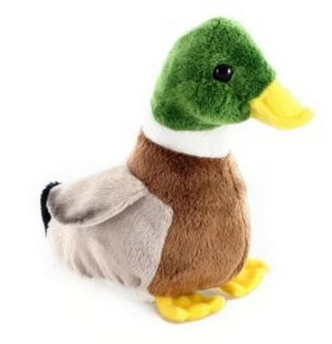 Plüsch ente mit - ente, sound