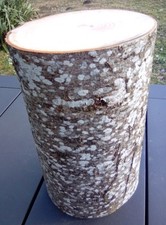 Baumstamm Holzstamm Hartholz