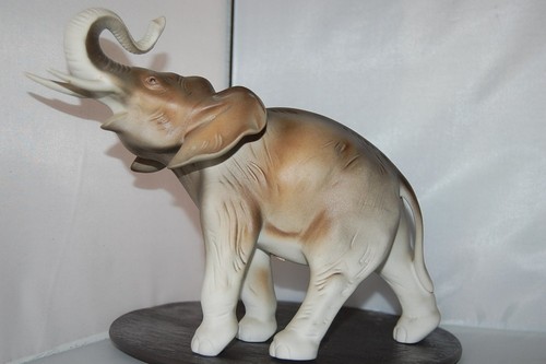 Prächtiger elefant matt cm - elefant,