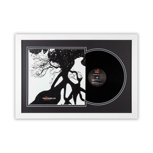 Schallplatten bilderrahmen - schallplatten,