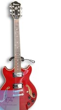 Ibanez Semi-Hollow Gitarre