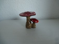 Pilz glückspilz fliegenpilz - pilz,