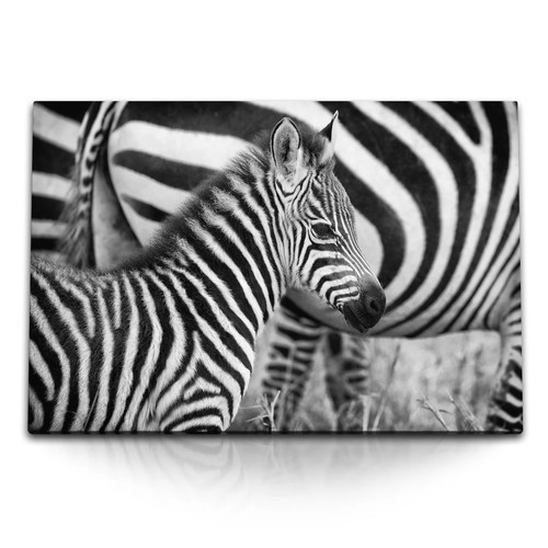 120x80cm wandbild auf leinwand - 120x80cm,