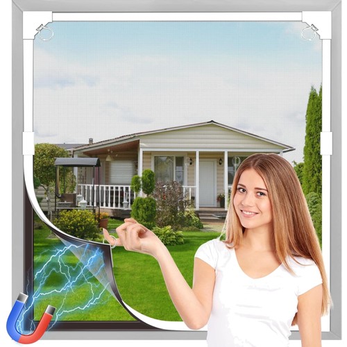 Fly screen window - fly,