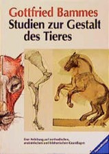 Studien zur Gestalt des Tieres