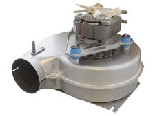 Glühwürmchen 2000800431