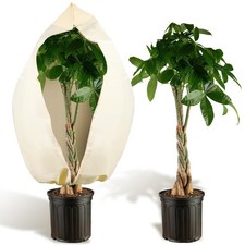 Winterschutz für Pflanzen