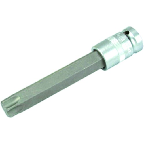 Condor torx einsatz zoll - 1/2,