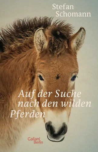 Auf der suche nach - nach, wilden