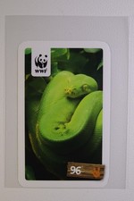 Tier-Abenteuer Entdecke sie