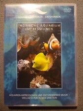 Tropische aquarium - tropische,