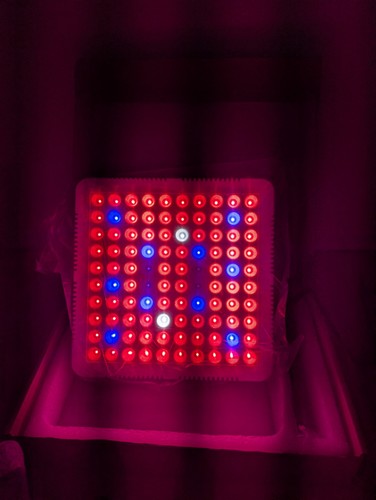 Westfalia led plant - westfalia,