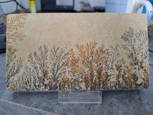Manganoxid dendriten auf - dendriten,