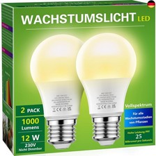 Briignite Die Glühbirne