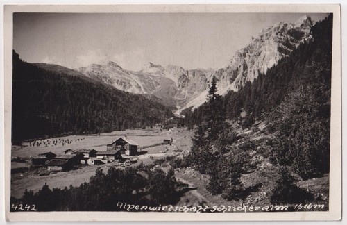 Alpenwirtschaft - ak,