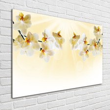 Glas-Bild Wandbilder Druck auf