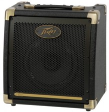 Peavey Ecoustic E20