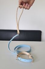 Veganes Leder Halsband und Leine Set