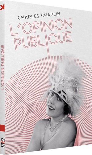 Public opinion - opinion, (l)
