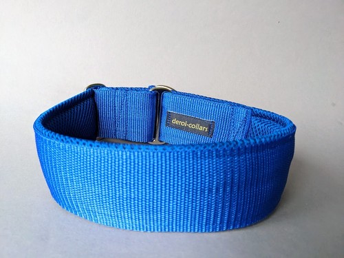 Hundehalsband mit polsterung - mit, /