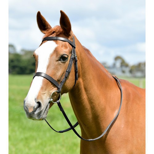 Kincade classic flat hunt - classic,