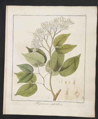 Kupferstich 1835 text - um,