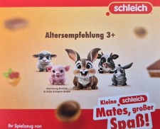 5 Schleich Mini Mates Figuren