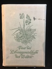 Altes Raumbild Album Aus der