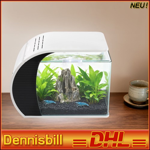 Kleines glas aquarium - kleines, glas-aquarium